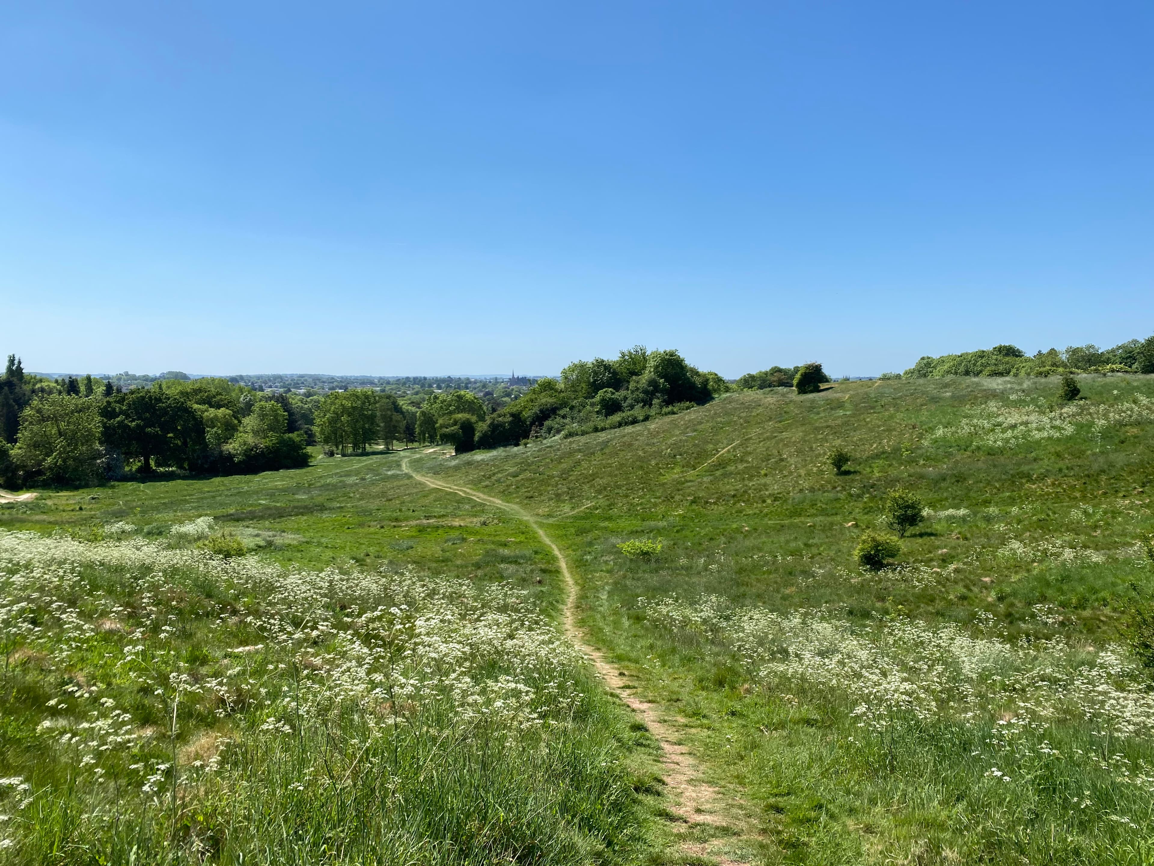 Walk photo 1