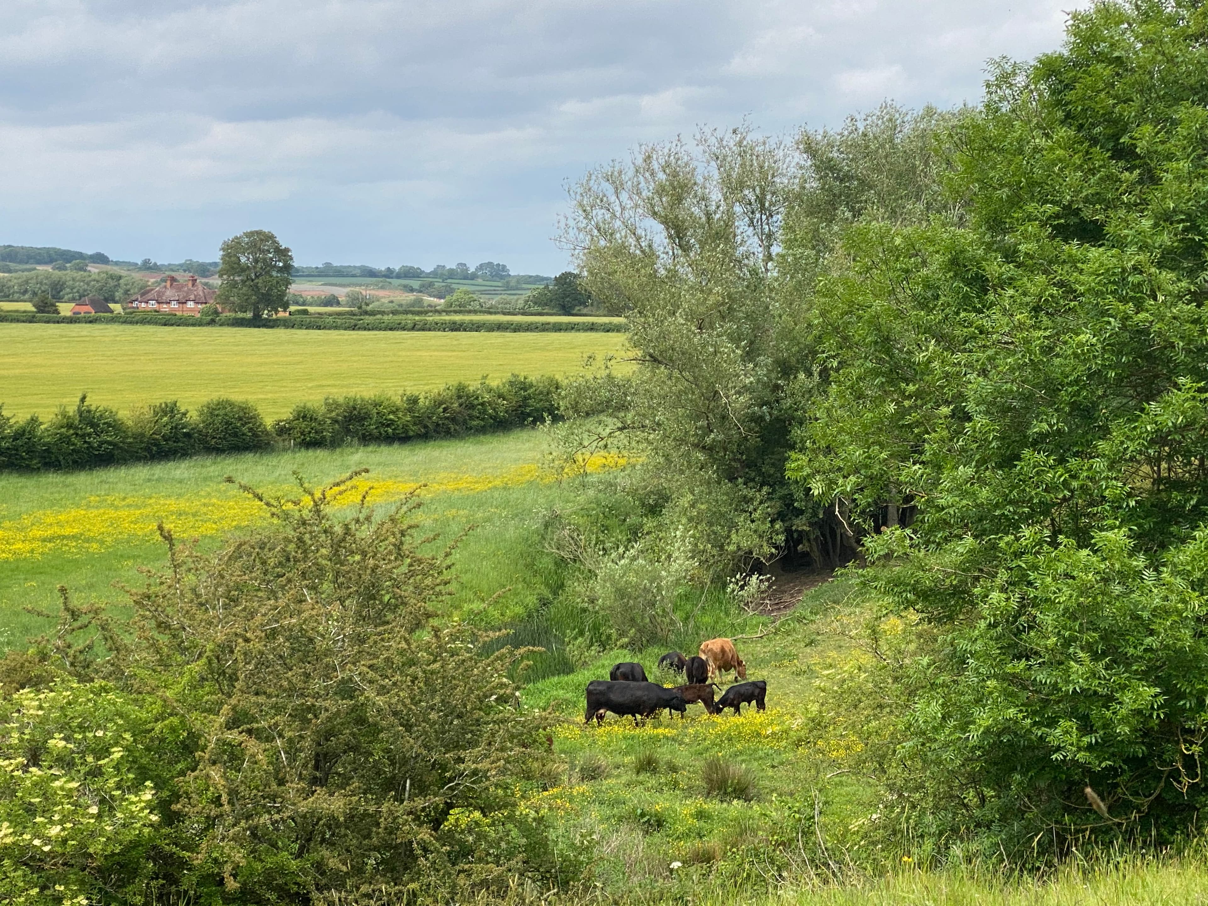 Walk photo 3