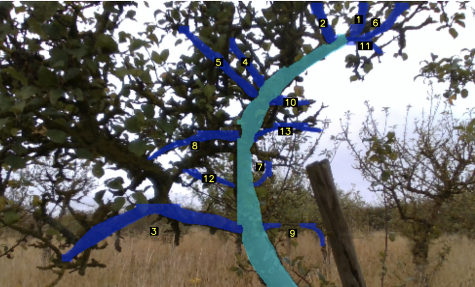 Autonomous Apple Tree Pruning
